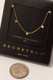 Secret Box Gold Dipped Cz Disc Charms Necklace: GD