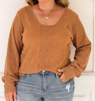 Curvy Brown Ribbed Knit Top