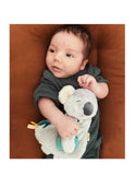 Itzy Friends Lovey™ Plush - Kayden the Koala