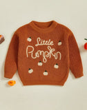 Cozy Little Pumpkin Chunky Knit Sweater