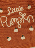Cozy Little Pumpkin Chunky Knit Sweater