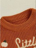 Cozy Little Pumpkin Chunky Knit Sweater