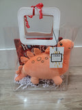 "How to Catch a Dinosaur" Gift Bundle